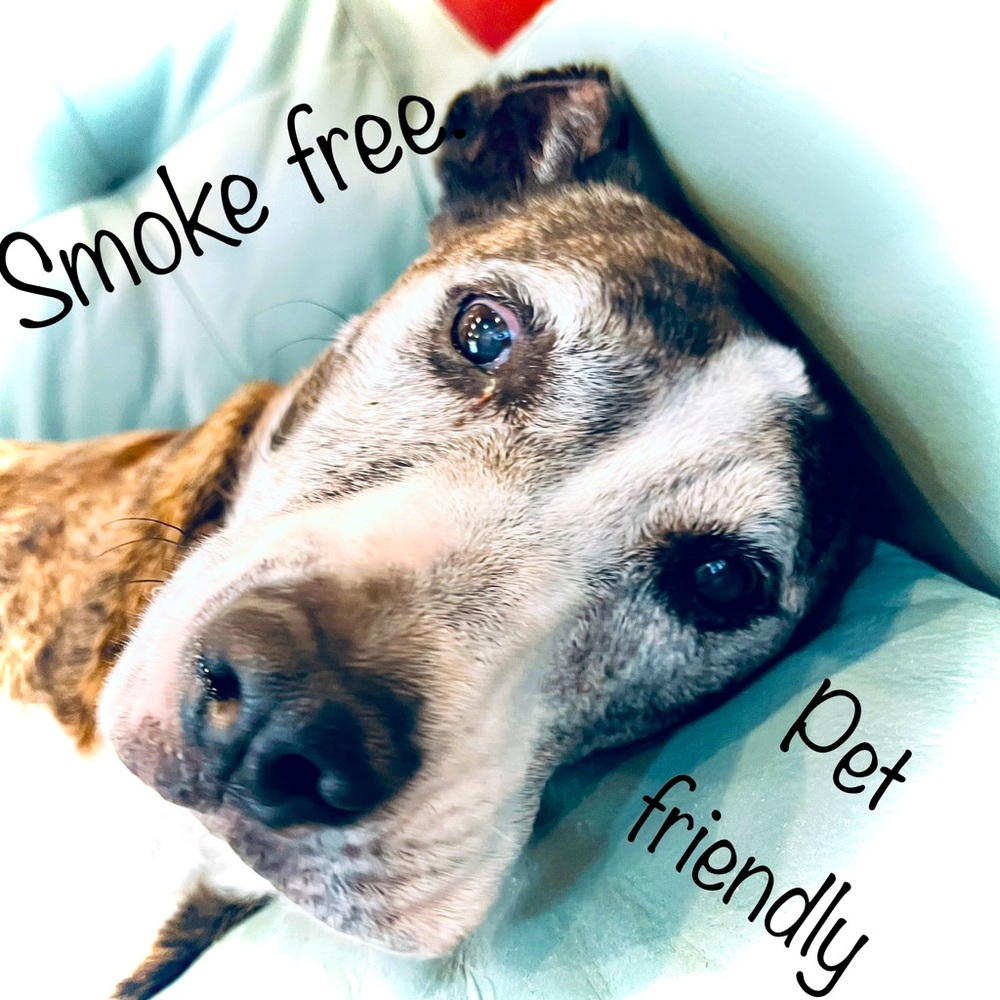 All items shipped from a 100% SMOKE FREE home.